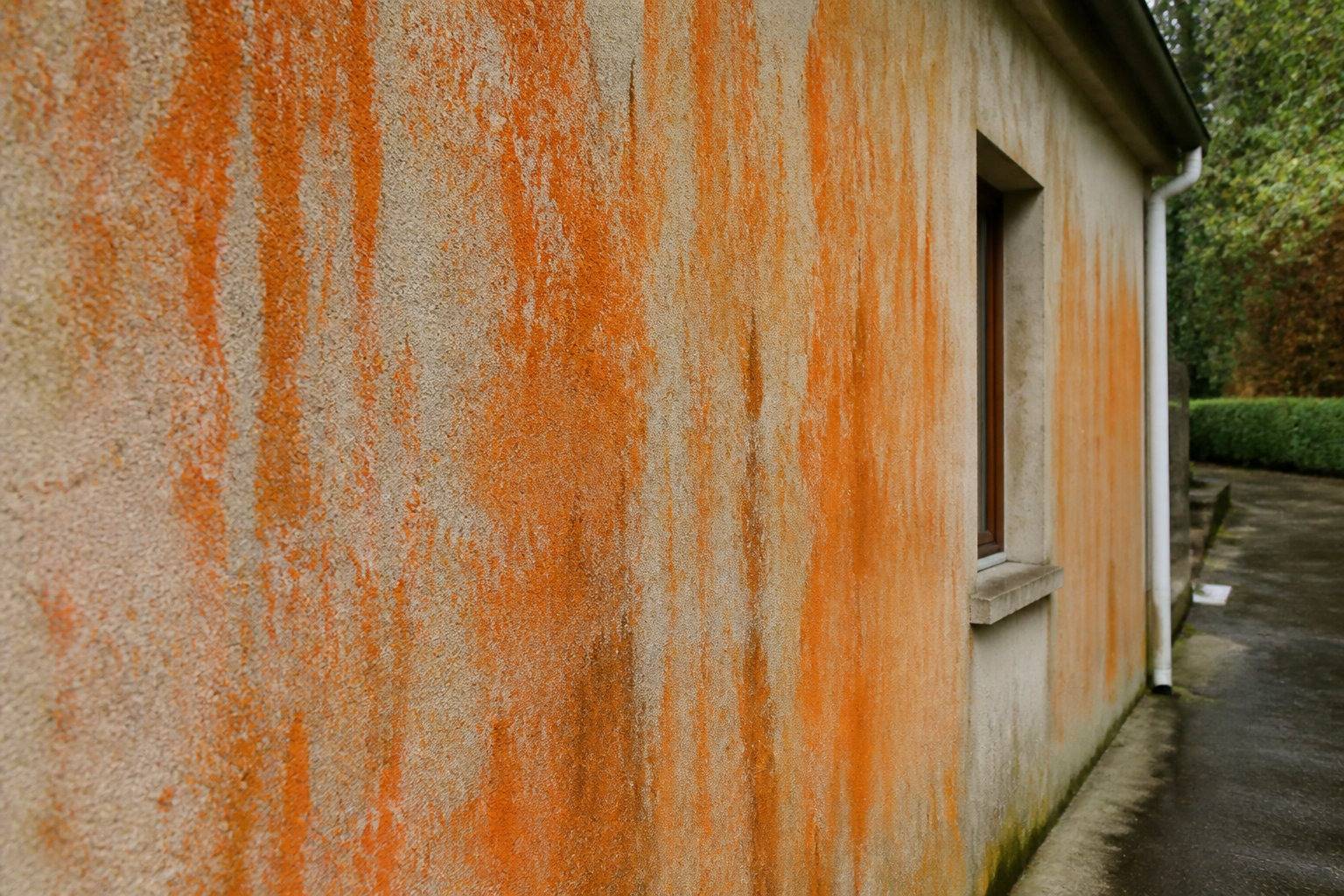 Façade en crépi envahie d'algues rouges en Seine-et-Marne